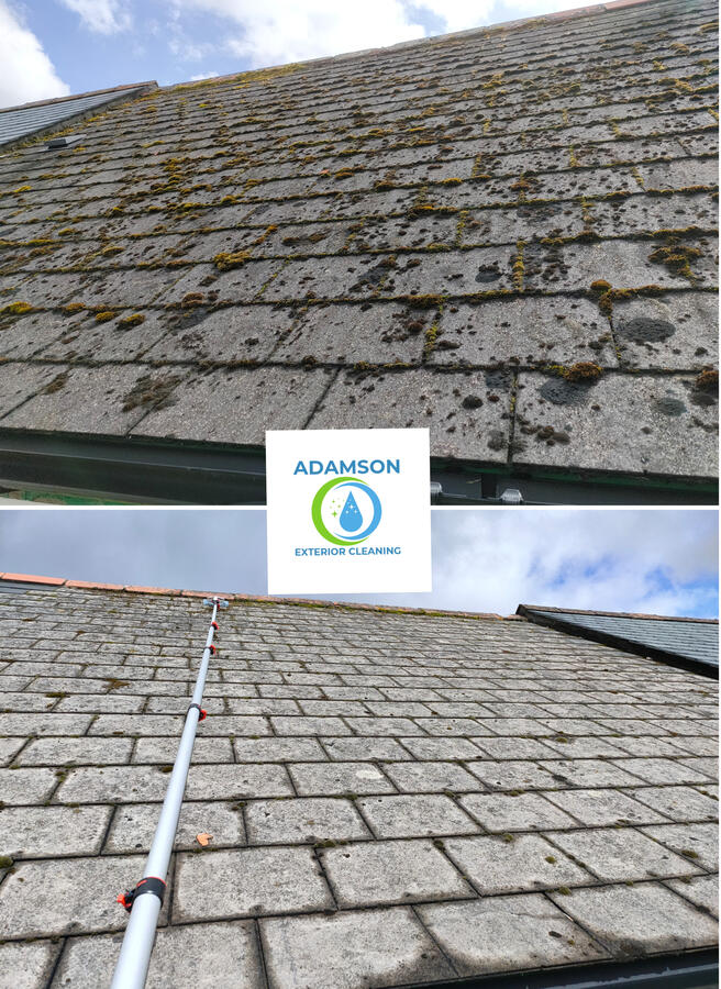 moss removal from artifical slate roof in liskeard