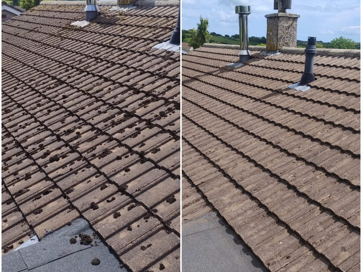 Moss removal and biocide treatment in Bodmin