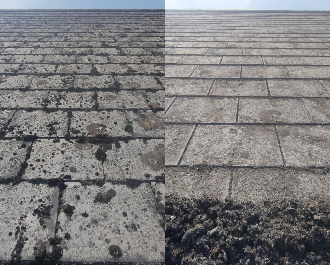 Moss removal from artifical slate roof in saltash